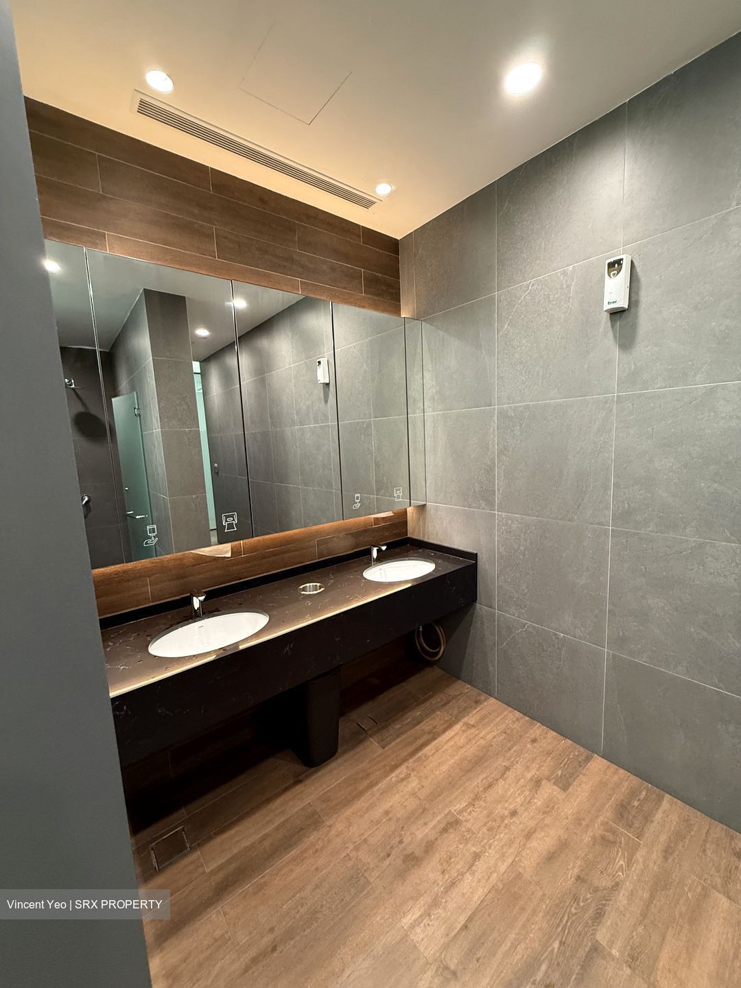 Kim Seng Promenade (D9), Condominium #612089691